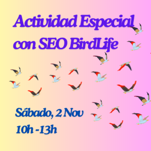 Seo Birdlife