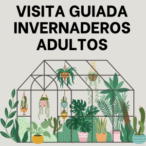 Visita guiada Invernadero