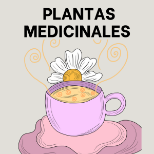 Plantas medicinales