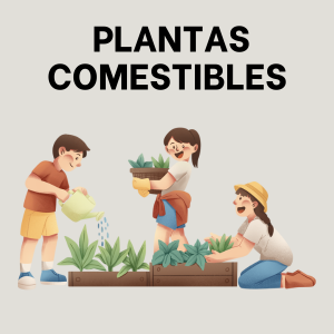 Plantas Comestibles