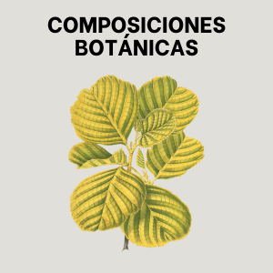 Composiciones botánicas