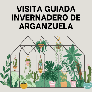 Visita guiada Invernadero de Arganzuela